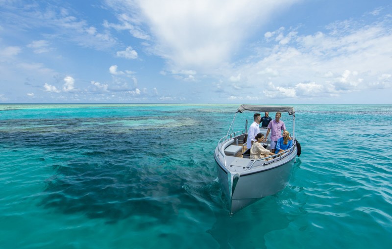 hamilton island reef tour