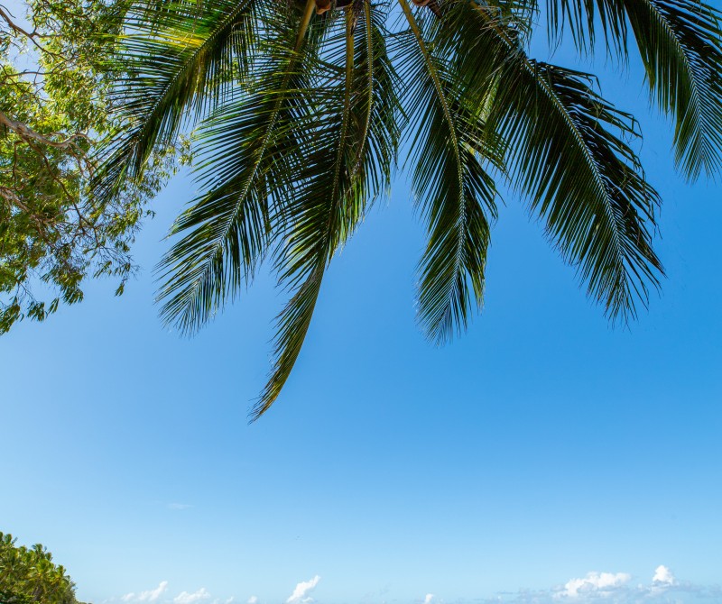 304 SeaTemple PalmCove  HighRes 20
