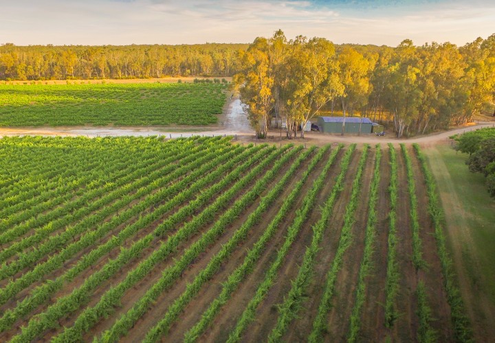 2 Cape Horn Vineyard Arial Photo